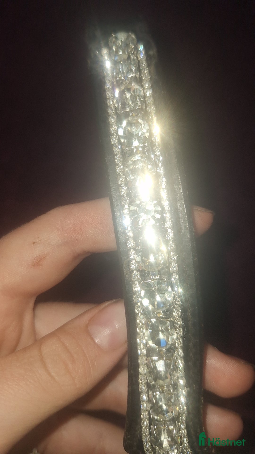 Träns hästutrustning till salu: 🌟Panband till salu🌟 i Nora - Annons 2