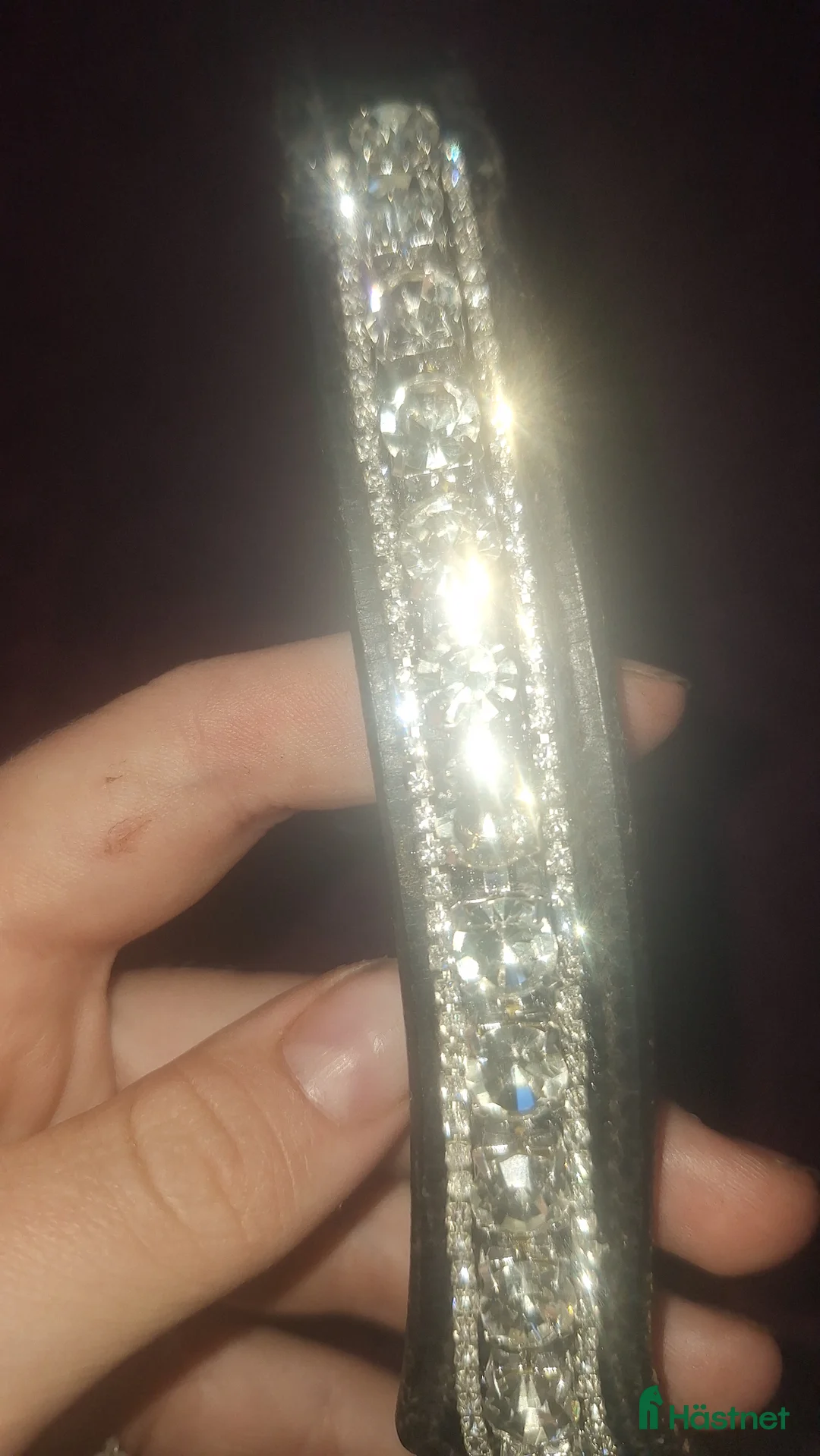 Träns hästutrustning till salu: 🌟Panband till salu🌟 i Nora - Annons 2