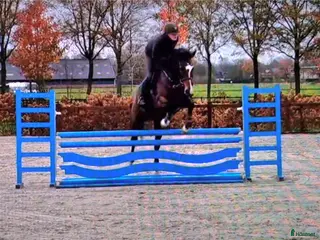 hästar Sportigt stabilt sto ev byte i Dösjebro - Annons 3