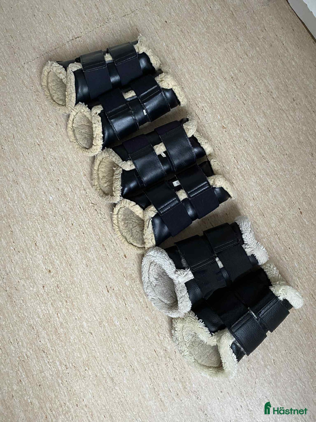 Övrig Hästutrustning hästutrustning till salu: Massa utrustning! i Lund - Annons 23