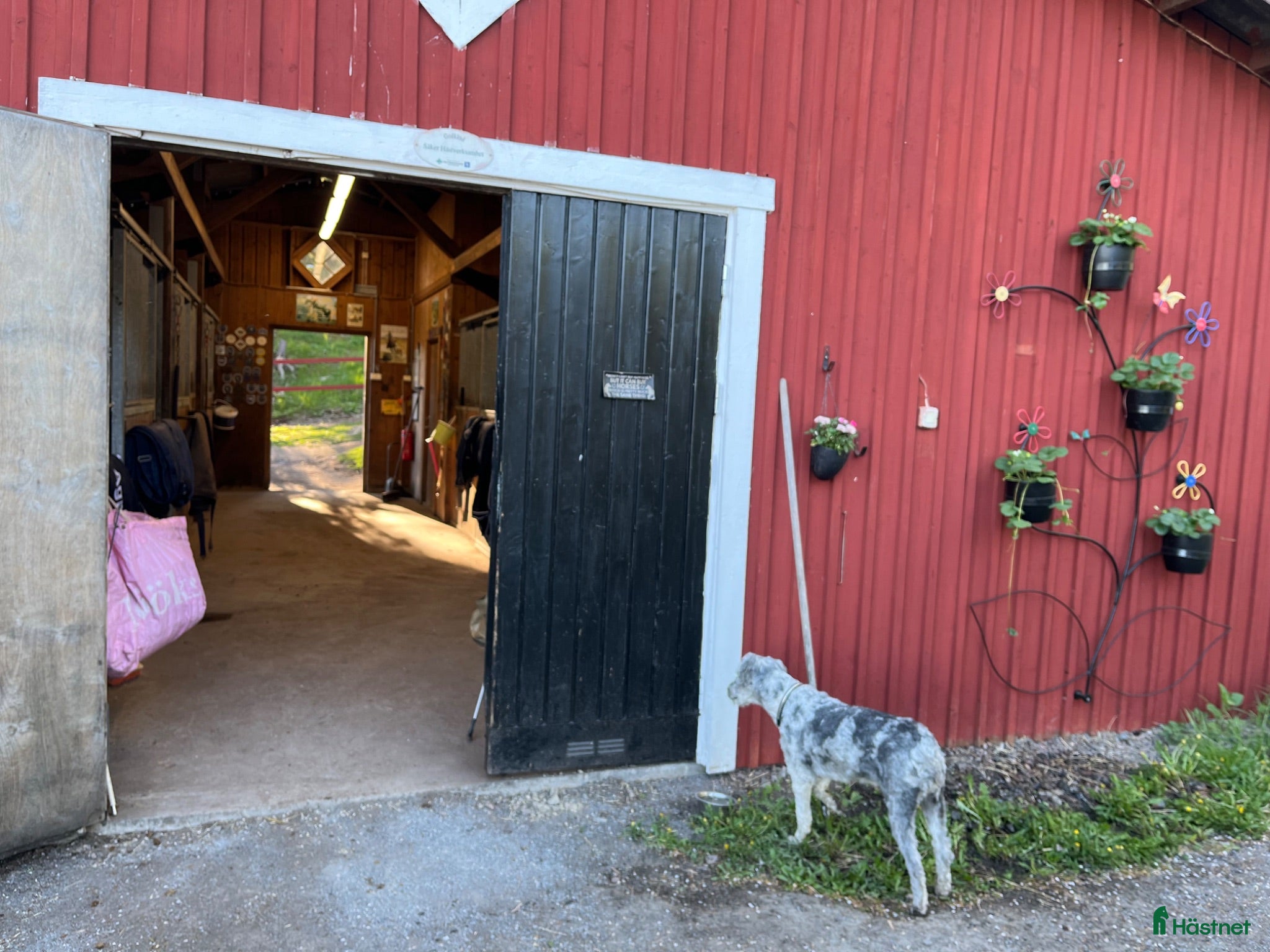  stallplats Litet stall med två ponny boxar och sadelkammare - Annons 10