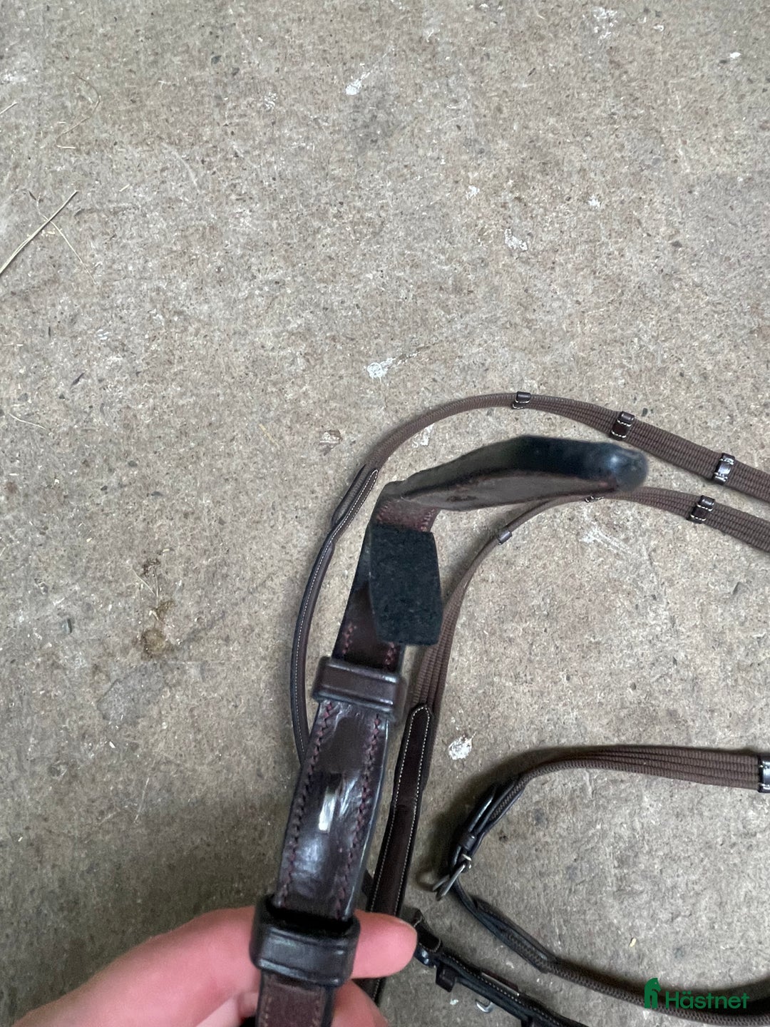 Träns hästutrustning till salu: Helt nya Equipetyglar  i Flyinge - Annons 4