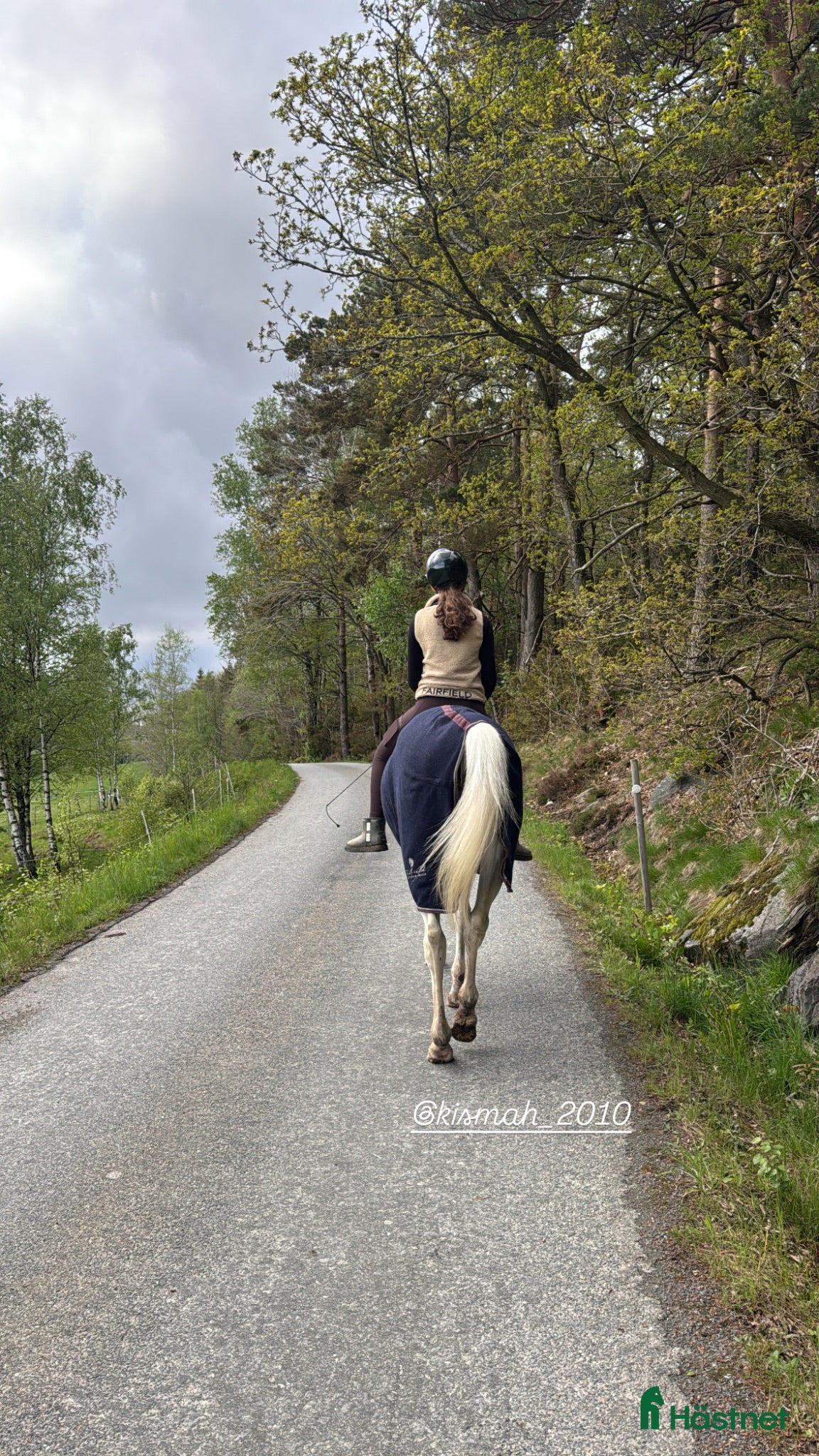  hästjobb 🤍🐴Hästvan 13-åring söker sommarjobb i stall🤍🐴 - Annons 2