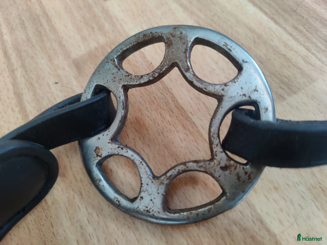 Träns hästutrustning till salu: Diverse utrustning  - Annons 4