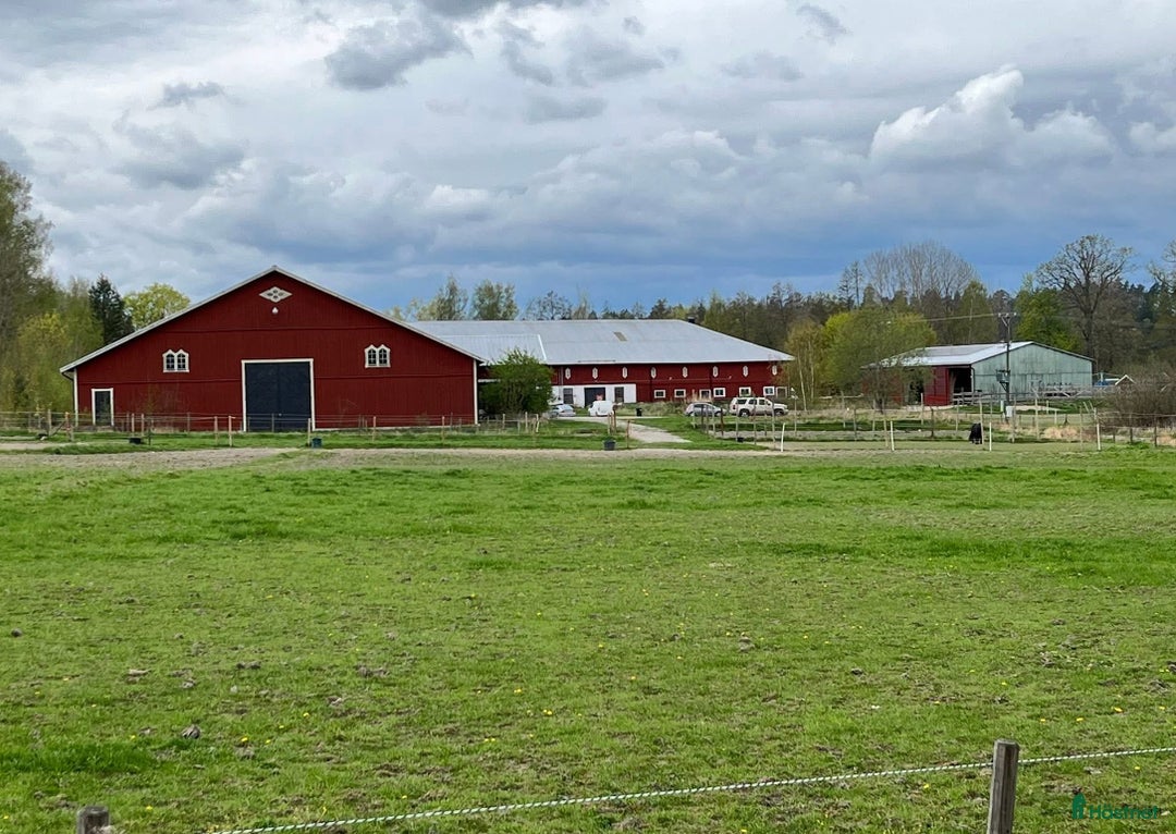  stallplats finnes: Stallplats/lösdrift & ridhus GNESTA/FLEN i Flen - Annons 4