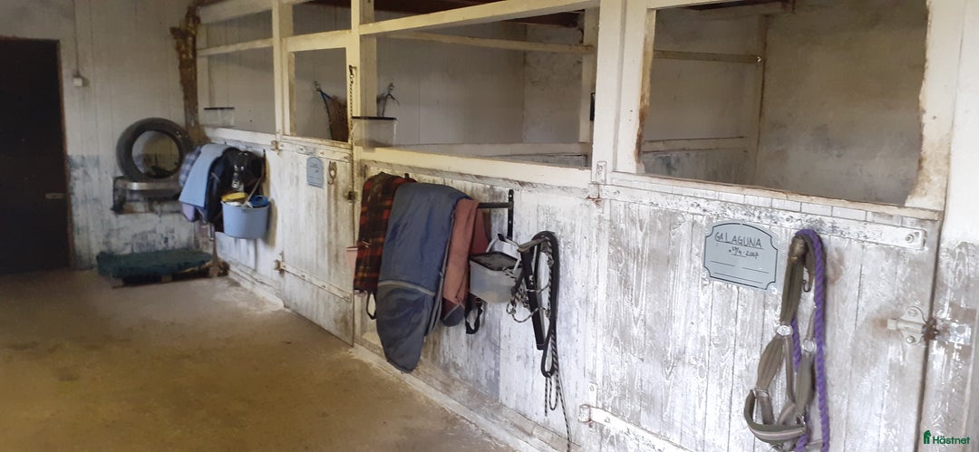  stallplats finnes: Boxplats för ponny finns i Knickarp  i Ystad - Annons 4