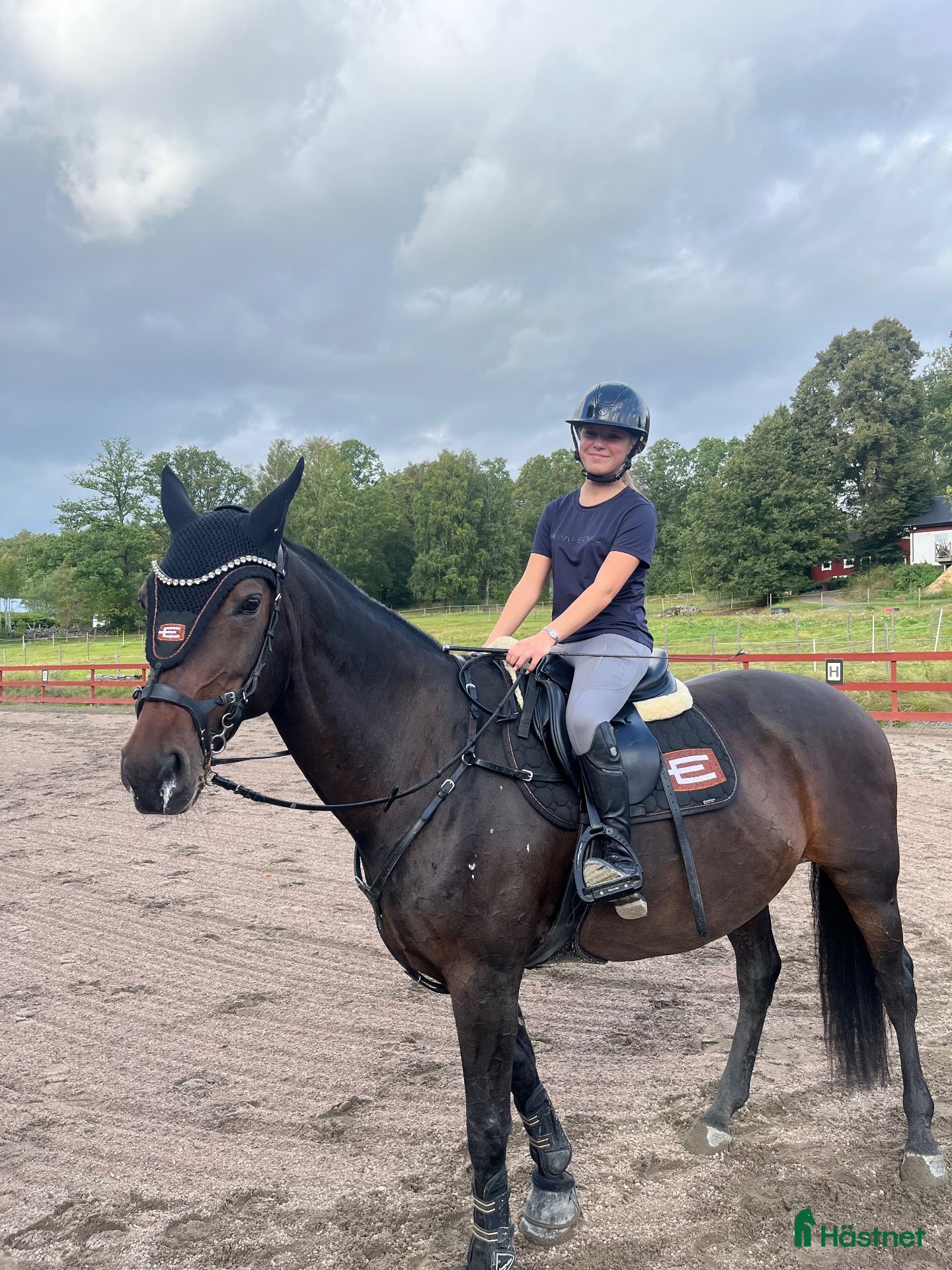  hästar Trygg Läromästare🐴🤎 - Annons 1