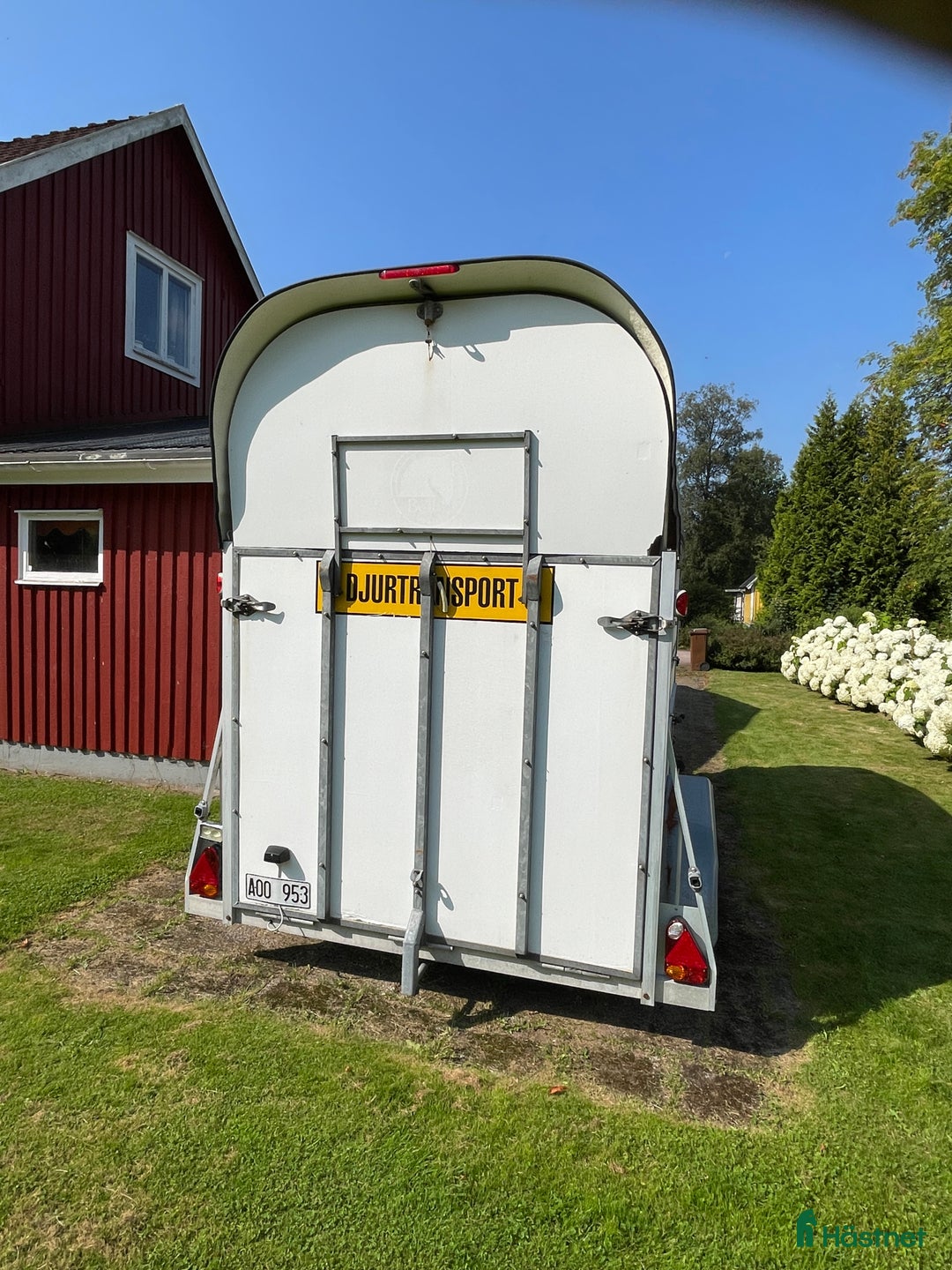 Hästtransporter  fordon & transport till salu: Välutrustad Boj Bravo 220 SEH i Hyltebruk - Annons 3