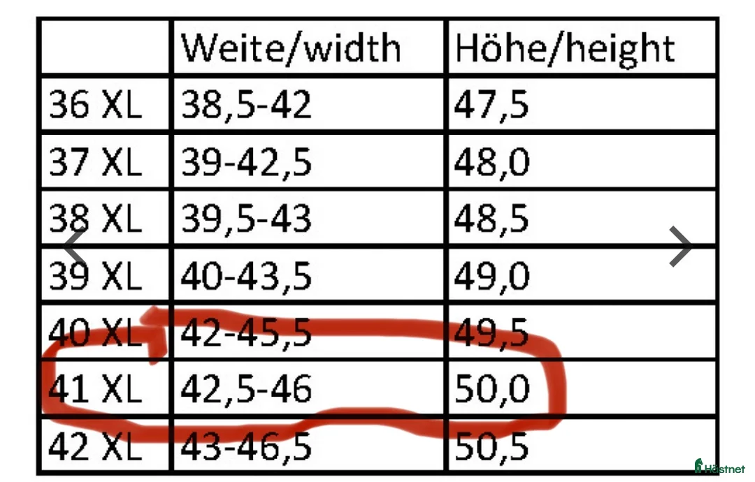 Ridstövlar ryttarutrustning till salu: HKM Titanium i Kållekärr - Annons 5
