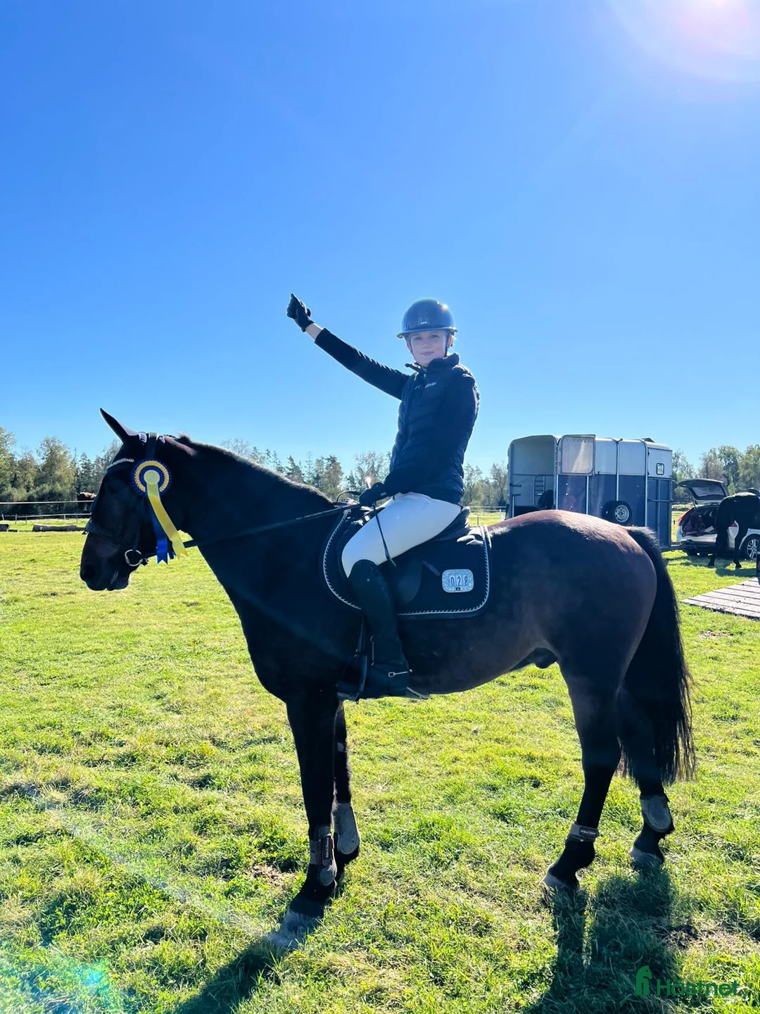Hoppning hästar till salu: D-ponny med rutin och hjärta i Kinna - Annons 1