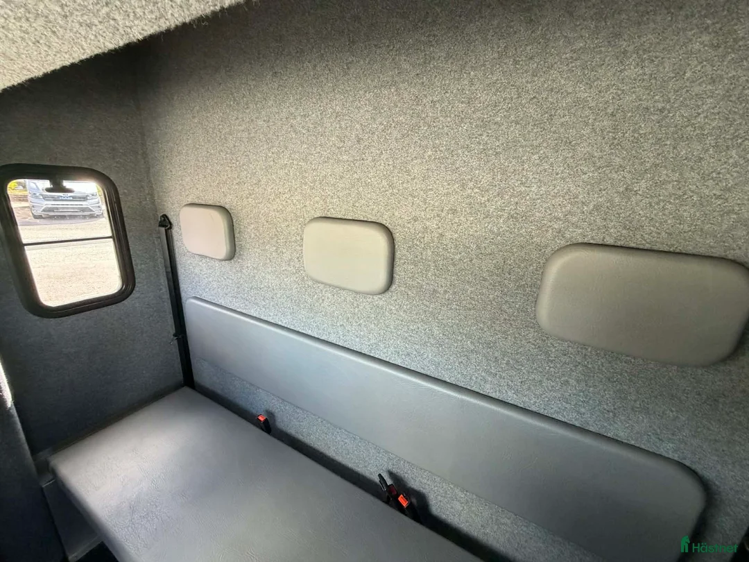 Hästlastbilar  fordon & transport till salu: NUYTS med 5 säten – en perfekt första hästlastbil! - Annons 16