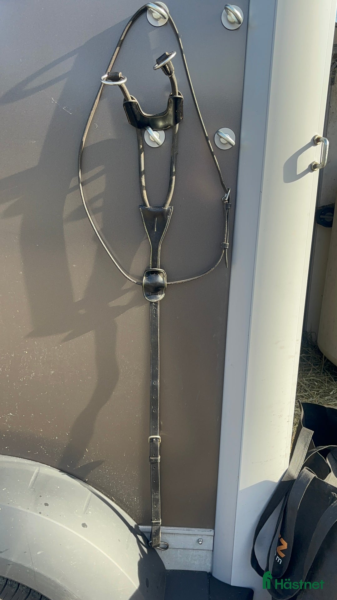 Övrig Hästutrustning hästutrustning till salu: Svart elastisk martingal i Väckelsång - Annons 1