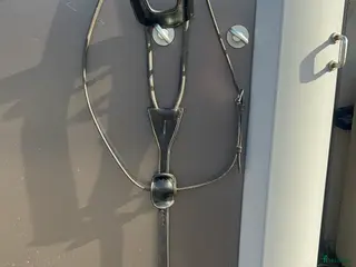 Övrig Hästutrustning hästutrustning Svart elastisk martingal i Väckelsång - Annons 3