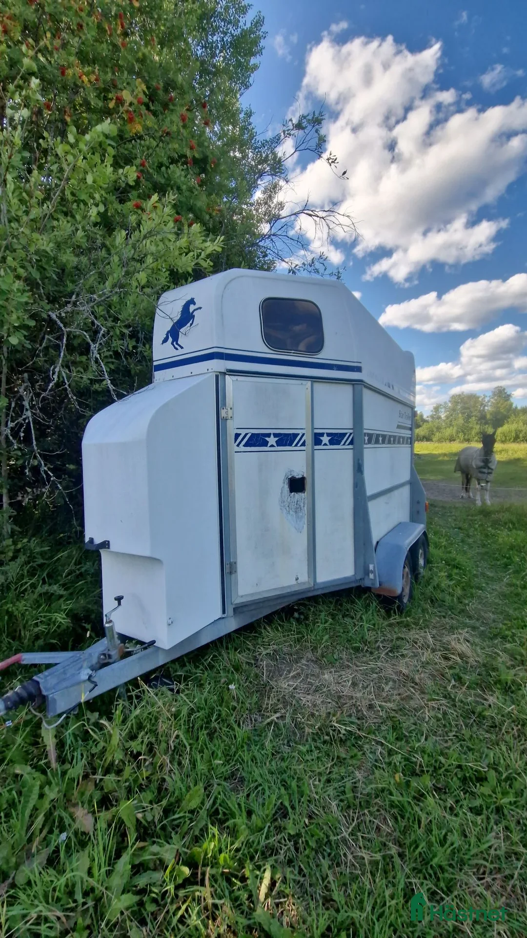 Hästtransporter  fordon & transport till salu: STAR TRAILER DIAMANT - Annons 2