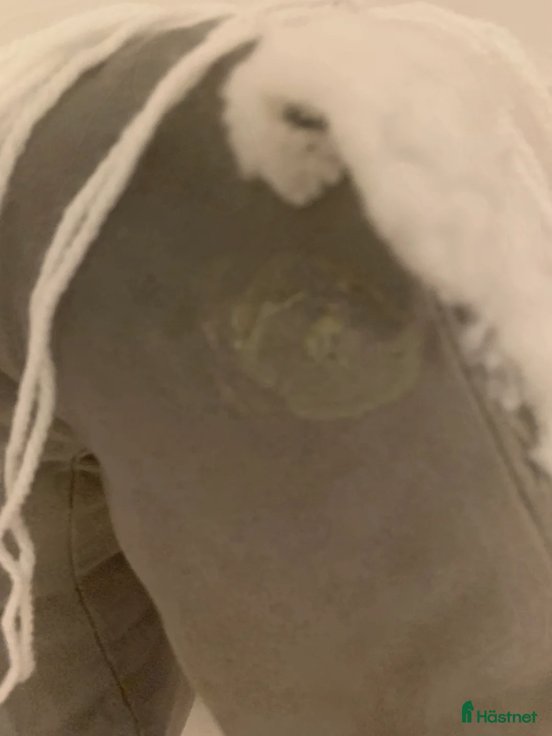 Hästinspirerad heminredning övrig utrustning till salu: Käpphästar i Haparanda - Annons 2