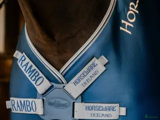 Täcken hästutrustning till salu: Horsewear Rambo airmax cooler - Annons 3