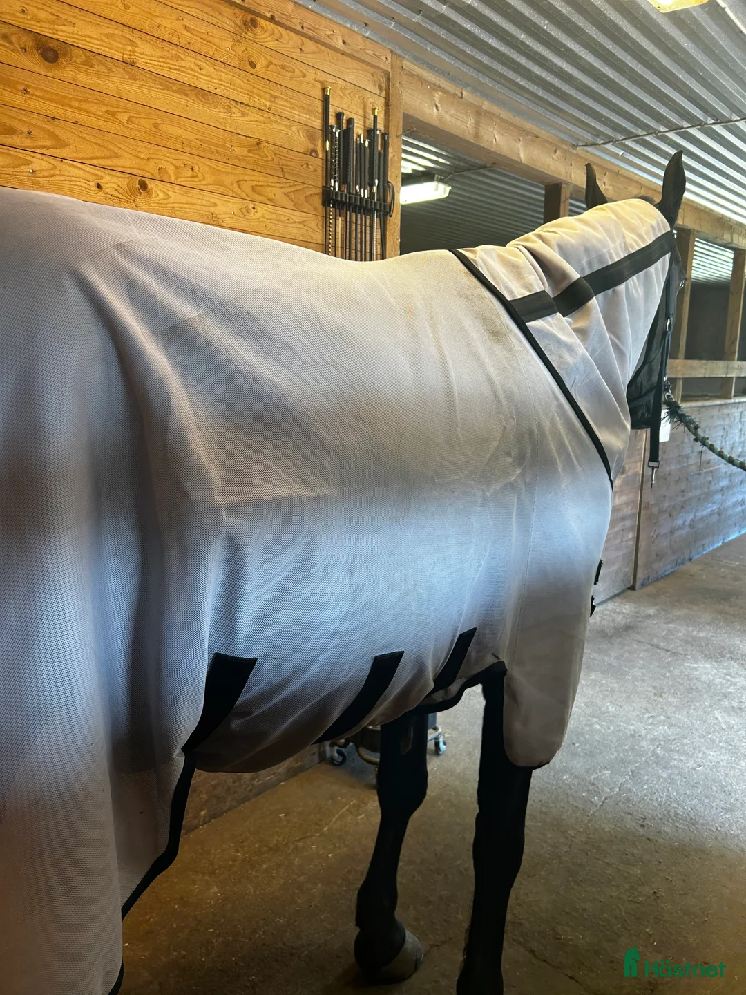 Täcken hästutrustning till salu: Kentuckey Flugtäcke - Annons 2