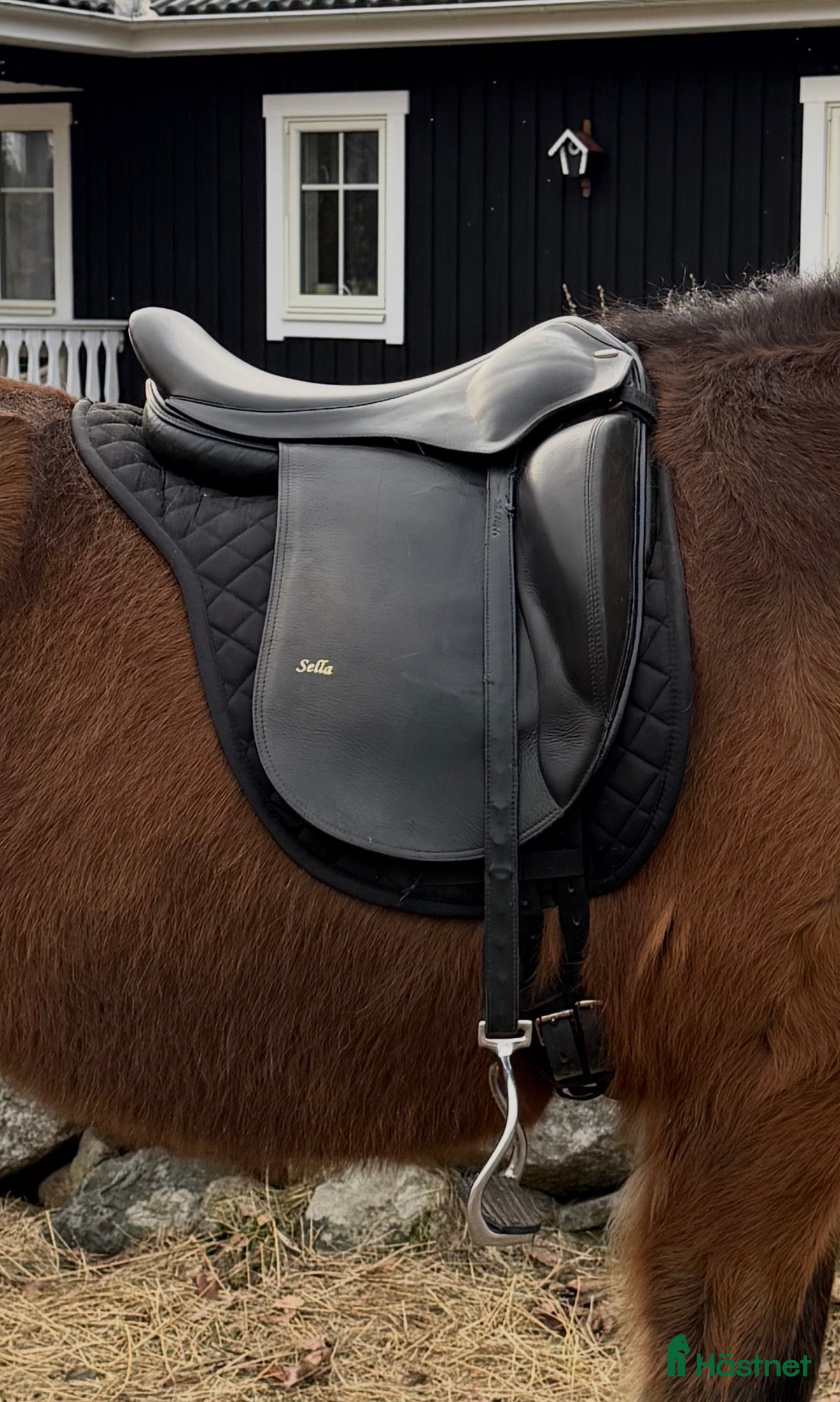 Sadlar hästutrustning Sella 17,5” islandssadel  - Annons 4