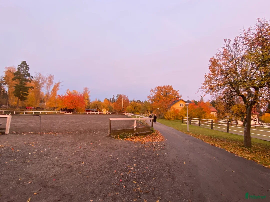  medryttarhäst finnes: 🐴 Lediga platser på Karlshems gård Ponnyklubb! 🐴 - Annons 3