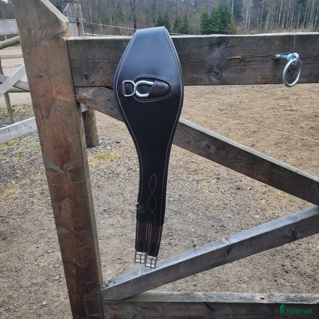 Sadeltillbehör hästutrustning till salu: Lippo sadelgjord - Annons 1