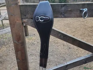 Sadeltillbehör hästutrustning Lippo sadelgjord - Annons 2