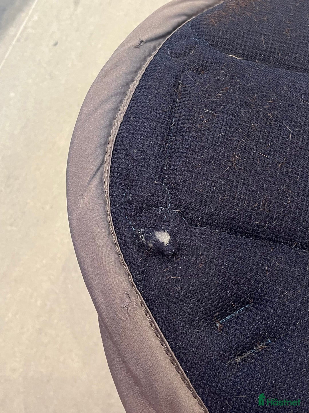 Schabrak & Vojlockar hästutrustning till salu: Schabrak ES i Dalby - Annons 4