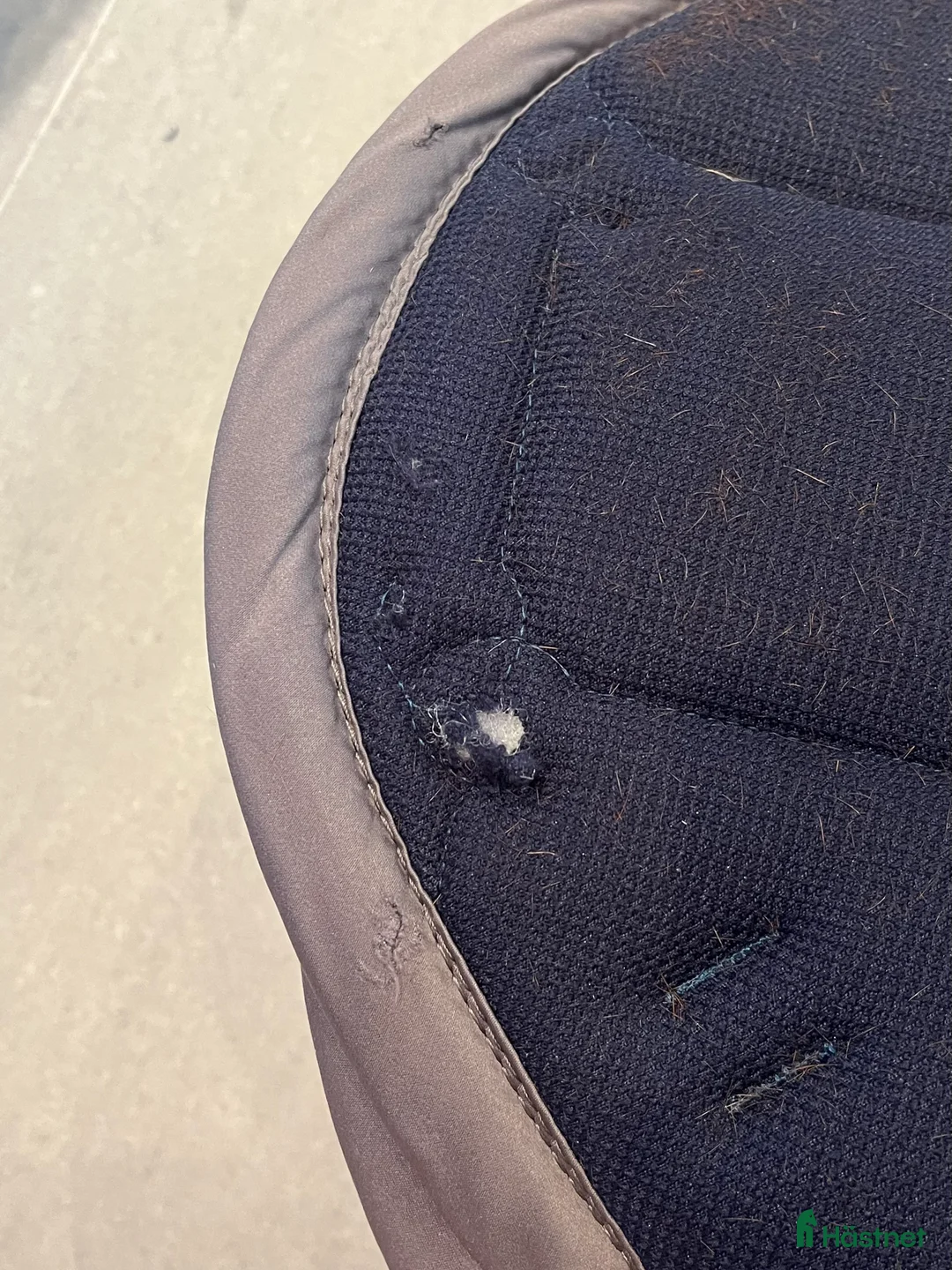 Schabrak & Vojlockar hästutrustning till salu: Schabrak ES i Dalby - Annons 4