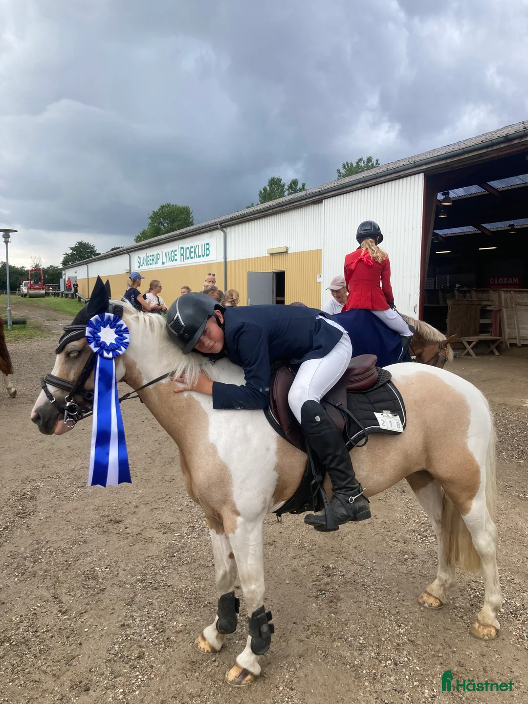 Hoppning hästar till salu: Fantastisk sød lærermester   - Annons 2