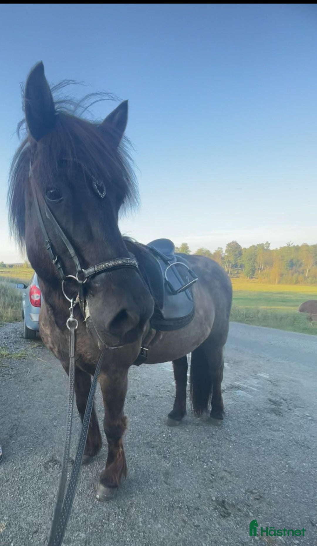 Galleribild {{count}}