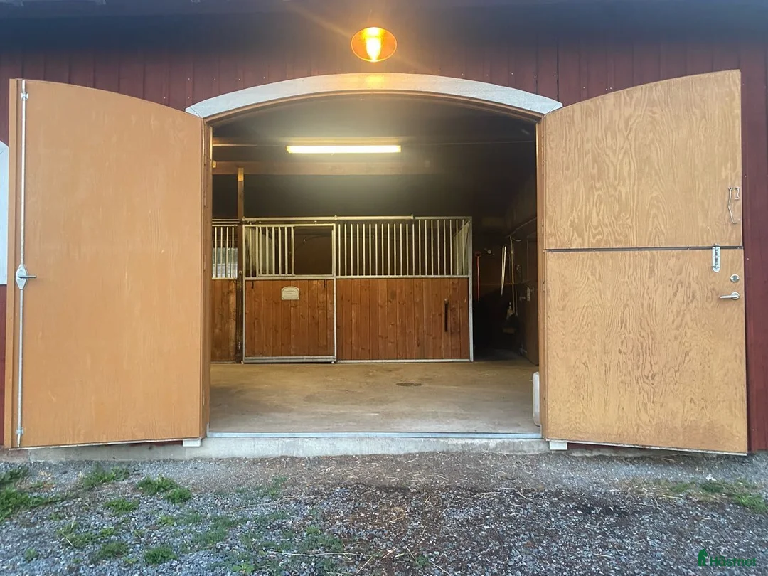 stallplats finnes: Lediga stallplatser i mysigt stall i Habo - Annons 4