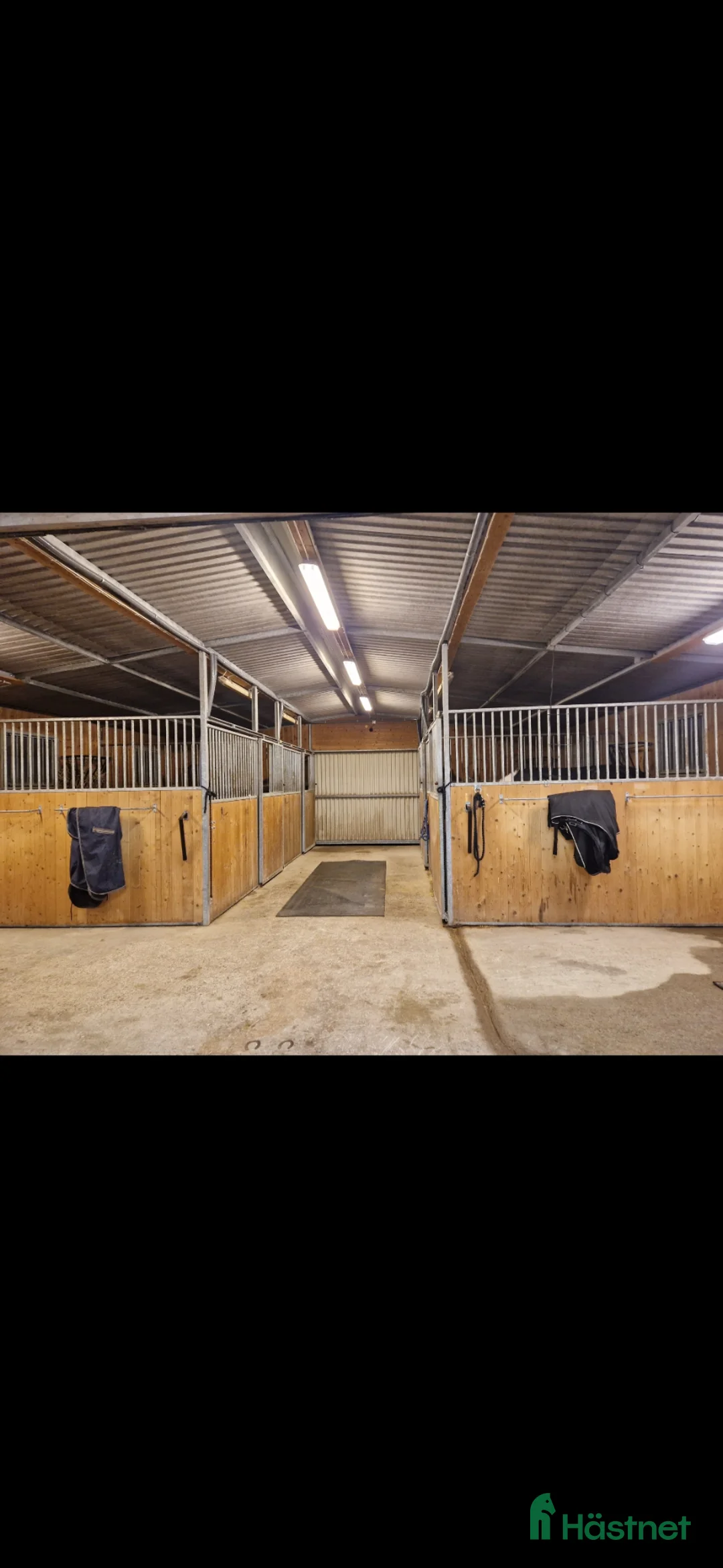  stallplats finnes: Plats för valack, ridhus & stora hagar - Annons 2