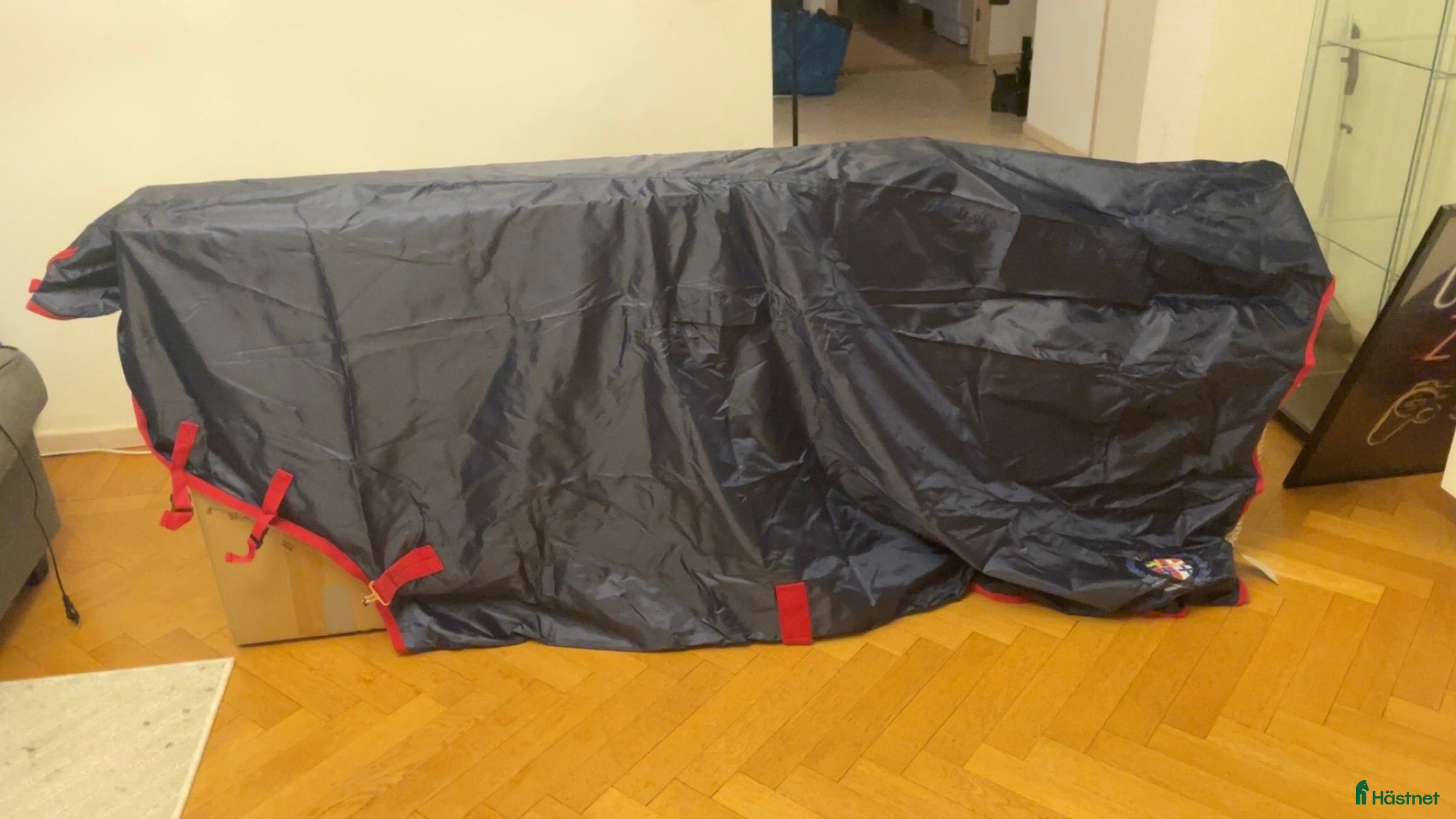 Täcken hästutrustning Stort parti hästsaker och 2 hjälmar i Borås - Annons 1