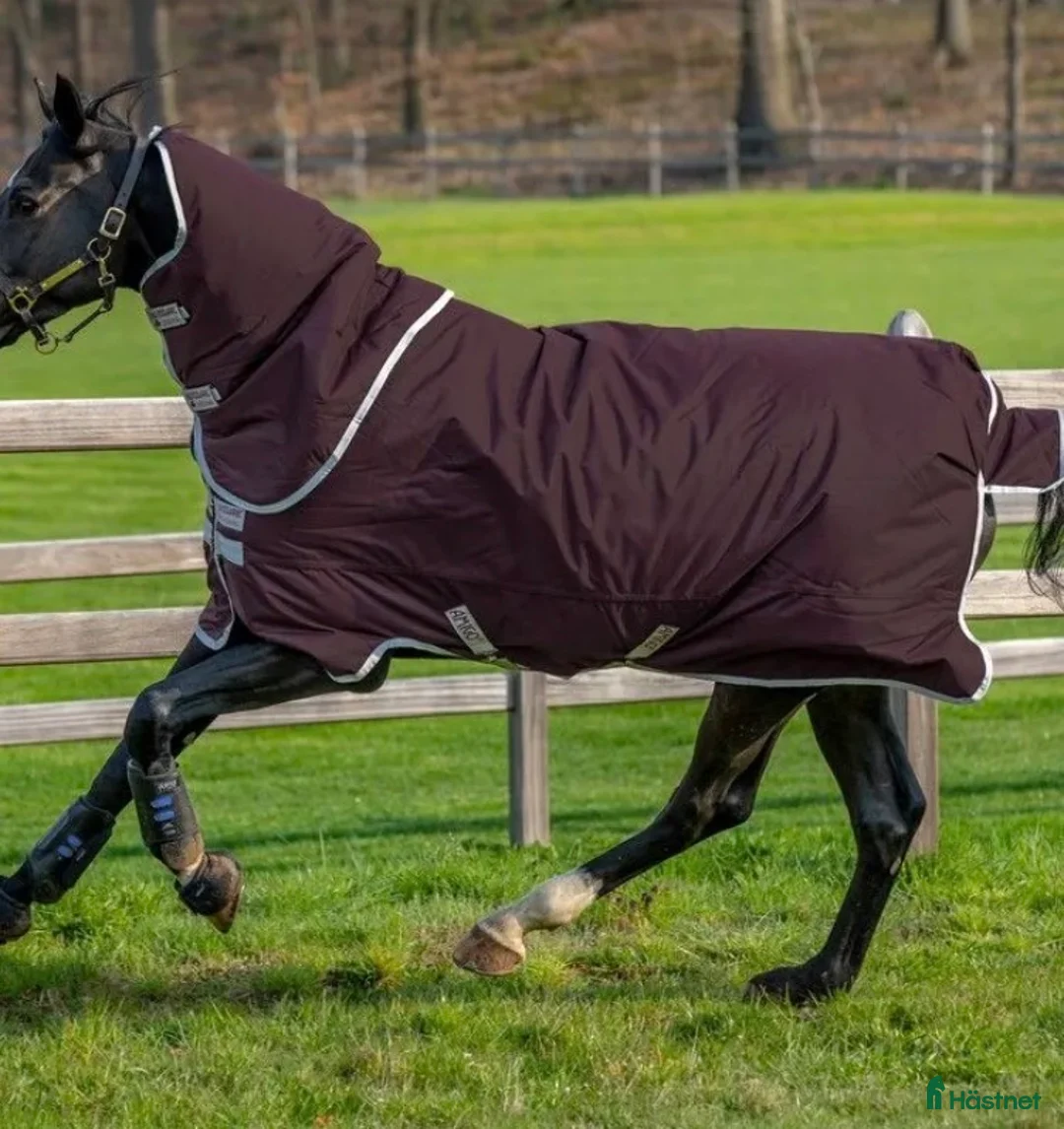 Täcken hästutrustning till salu: Horseware utetäcke 100 gr - Annons 2