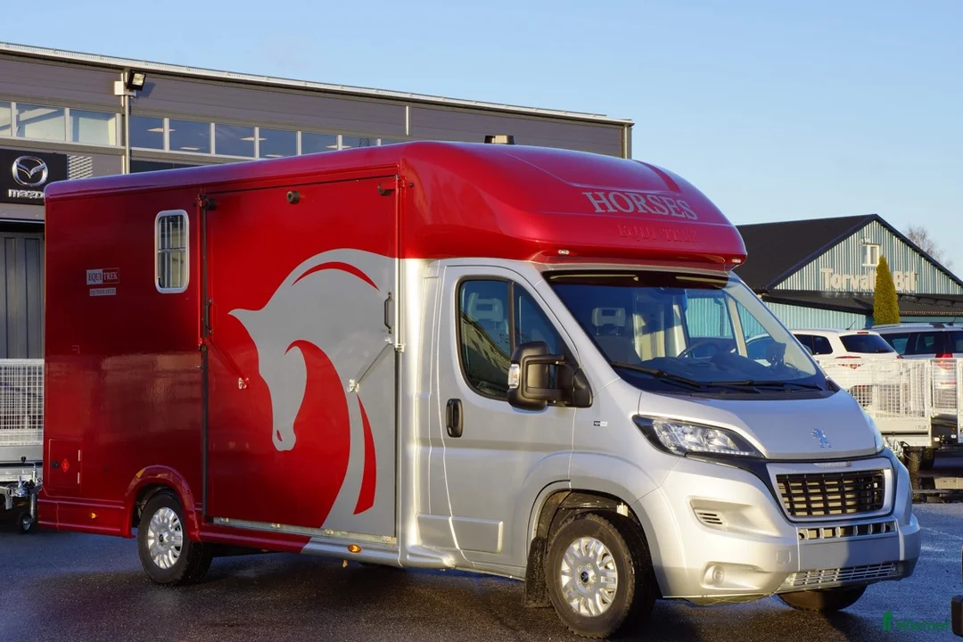 Hästlastbilar  fordon & transport till salu: Unik b-kortsbuss med bodel bak🤩 - Annons 1