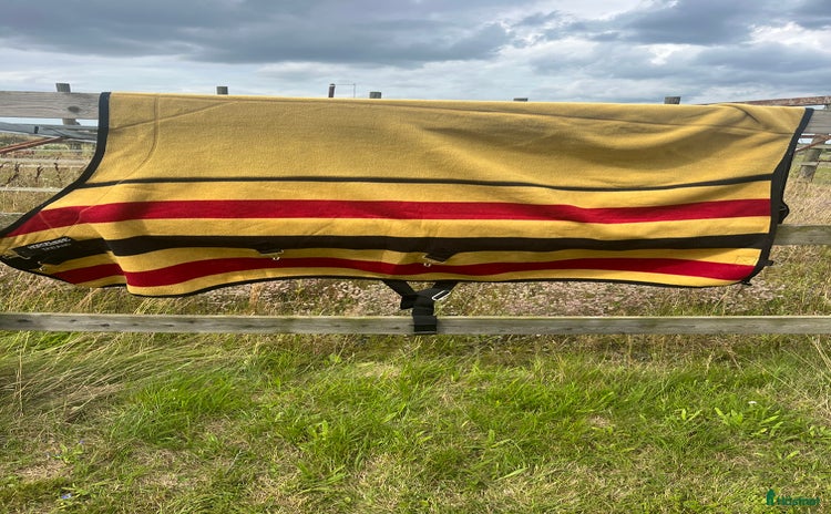 Täcken hästutrustning till salu i Kvidinge - Annons 19