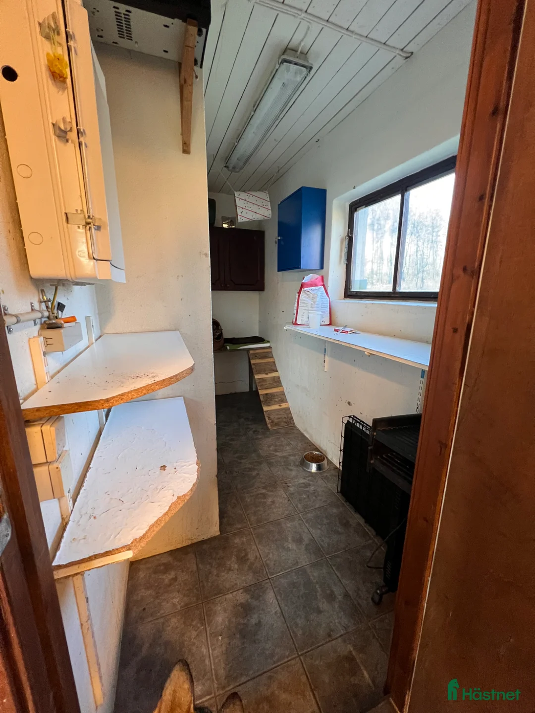  stallplats finnes: Lediga boxplatser i lugnt stall - Annons 2