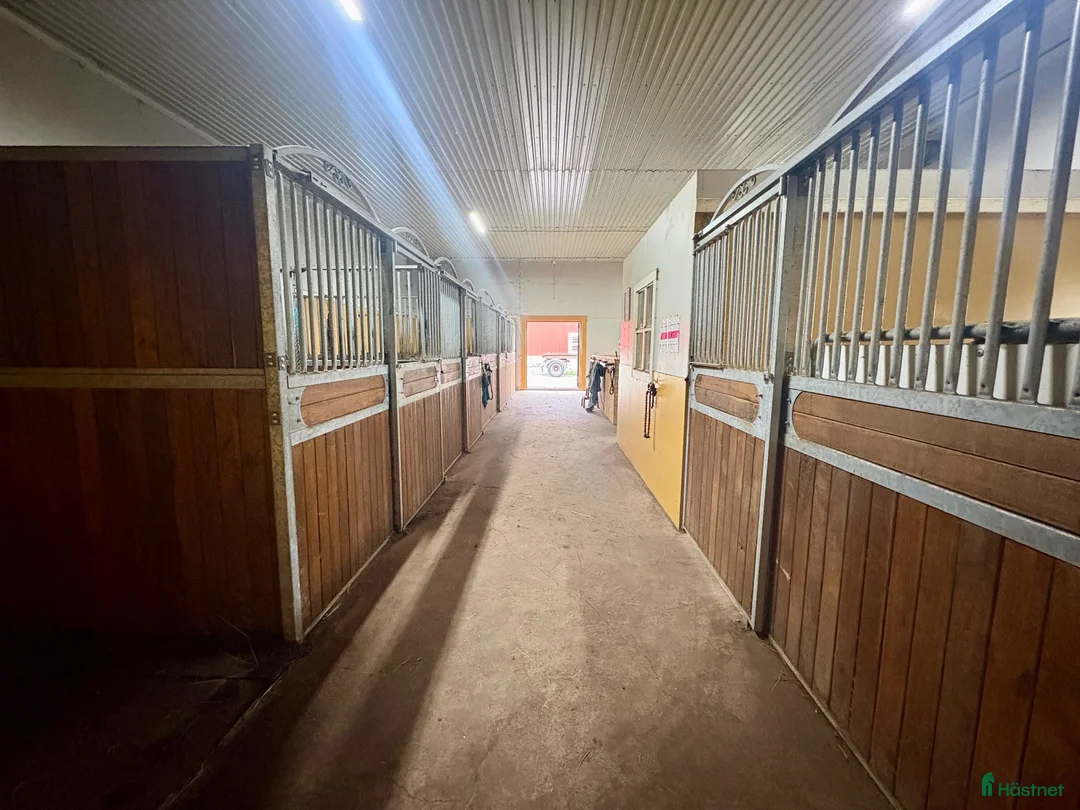  stallplats finnes: Helt stall uthyres, privat bruk i Kolsva - Annons 1