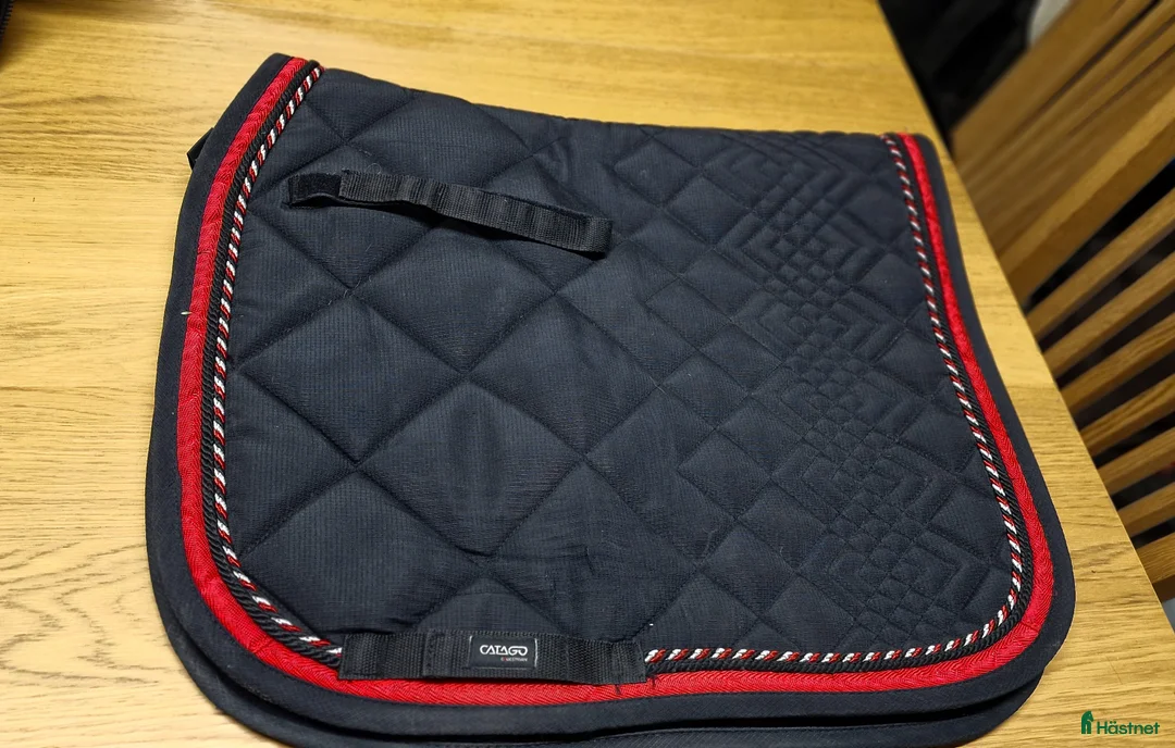 Övrig Hästutrustning hästutrustning till salu: Blanda utrustning i fint skick i Norrköping - Annons 9