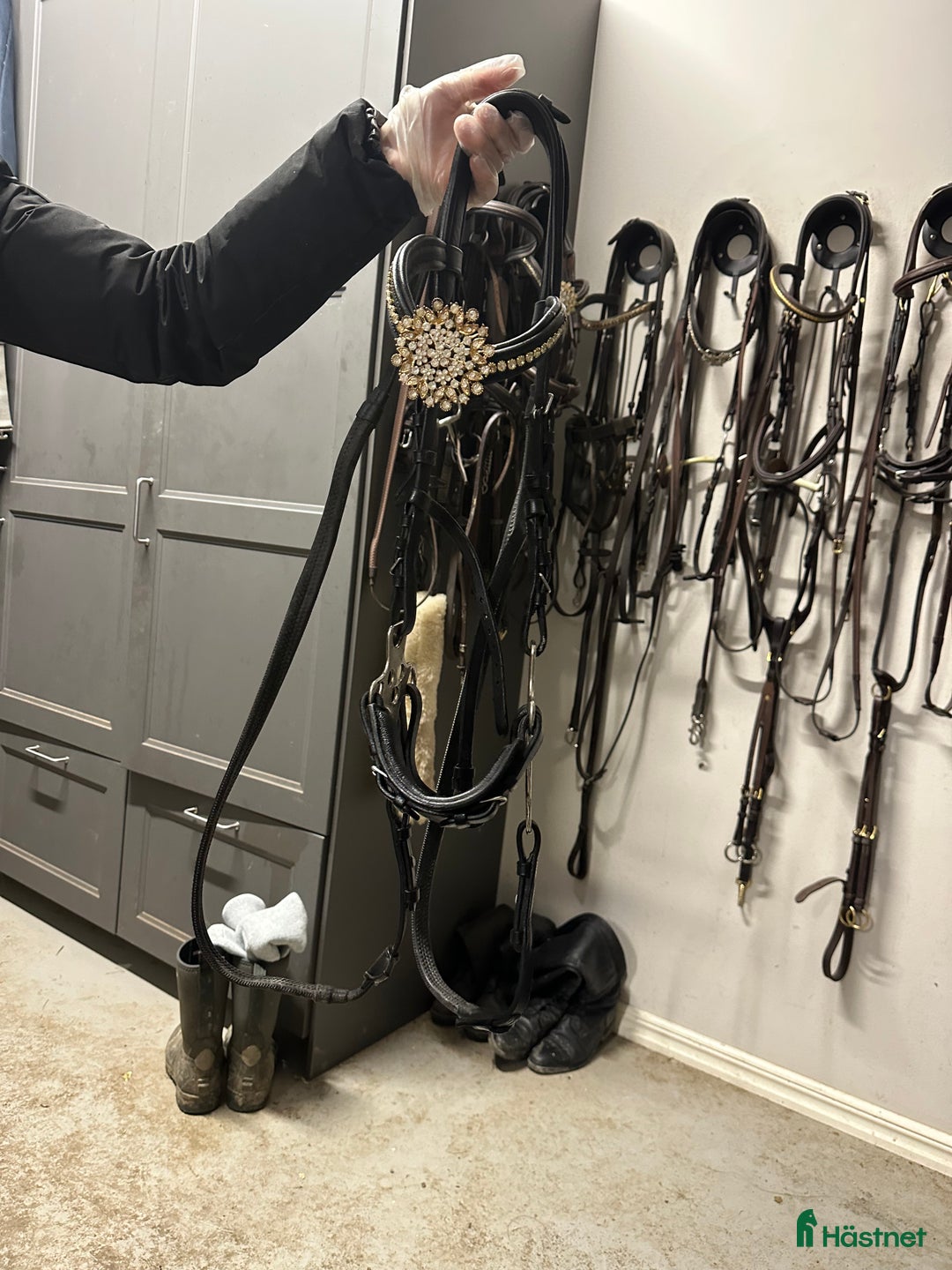 Träns hästutrustning till salu: Antares träns i Norrtälje - Annons 5