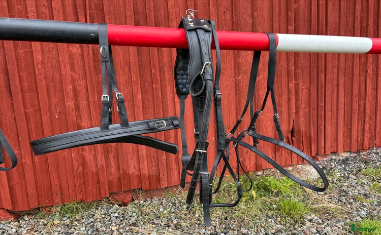 Körselar körning till salu i Bräcke - Annons 15