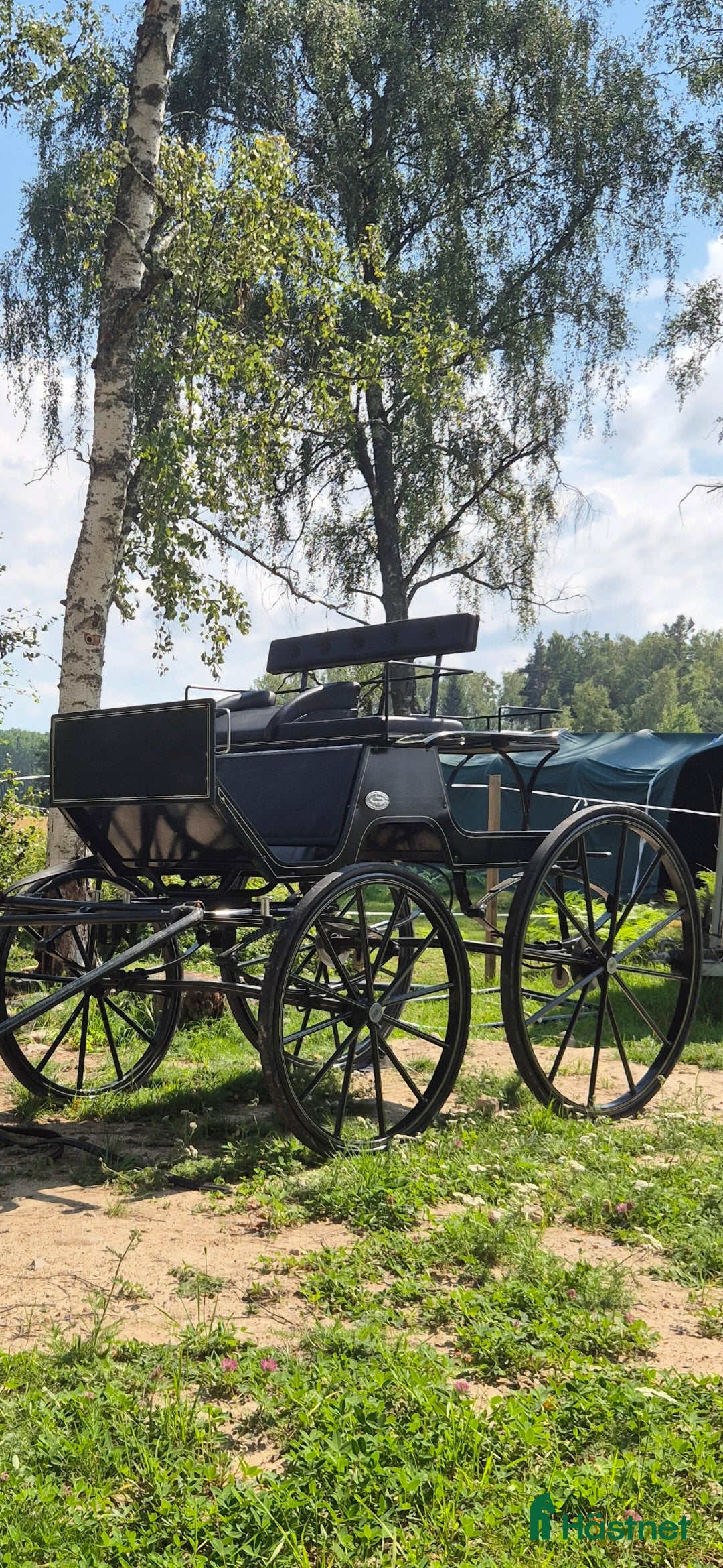 Körvagnar körning till salu: Fin vagn till salu - Annons 1