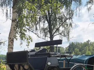 Körvagnar körning till salu: Fin vagn till salu - Annons 1