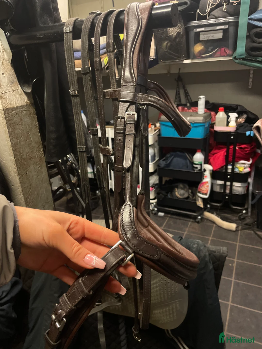 Övrig Hästutrustning hästutrustning till salu: Fynda/ byta? - Annons 5