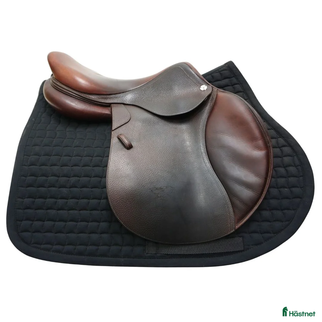 Sadlar hästutrustning till salu: CWD SE01 Classic 17,5" - Annons 2