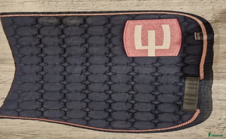 Schabrak & Vojlockar hästutrustning till salu i Husby-rekarne - Annons 7