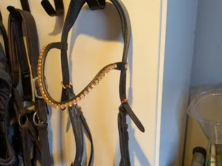 Träns hästutrustning till salu: Bettlöst Crystal Crown - Annons 2