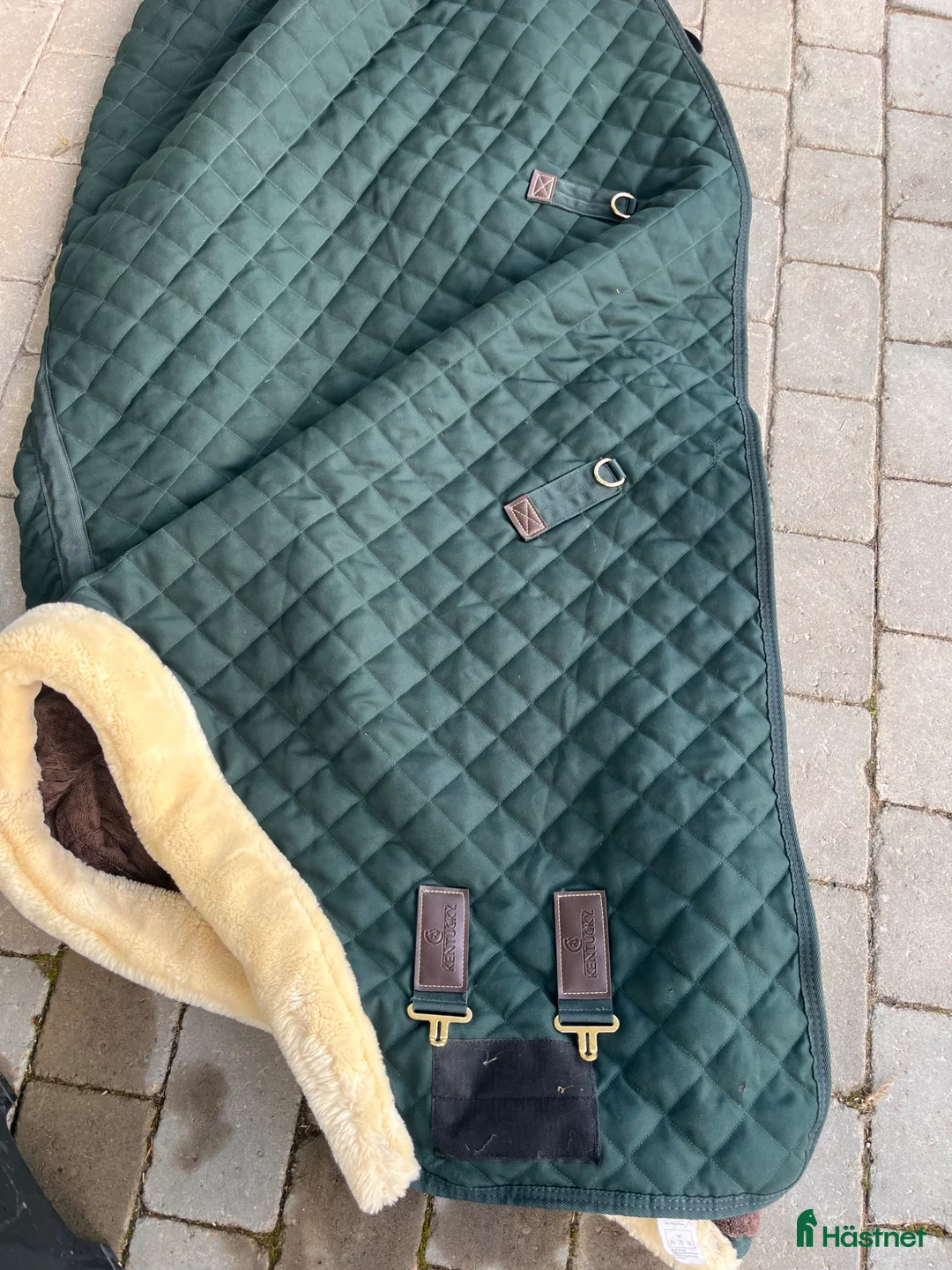 Täcken hästutrustning till salu: Kentucky Showrug 145 cm - Annons 2