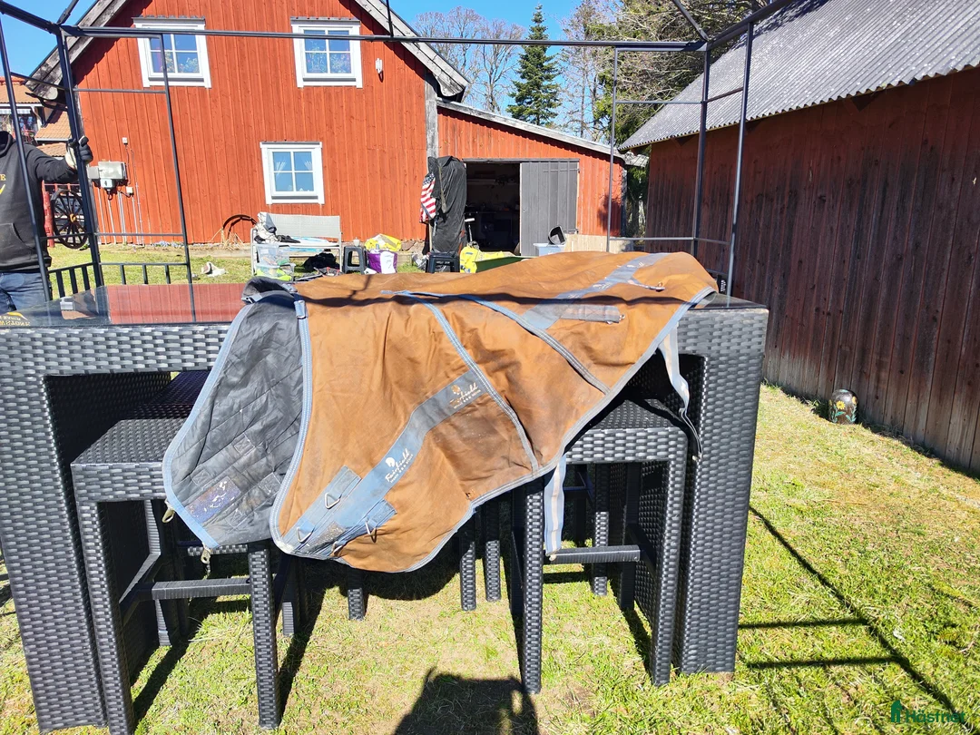 Övrig Hästutrustning hästutrustning till salu: 2  stora trunkar med grejer strl cob i Vreta Kloster - Annons 2