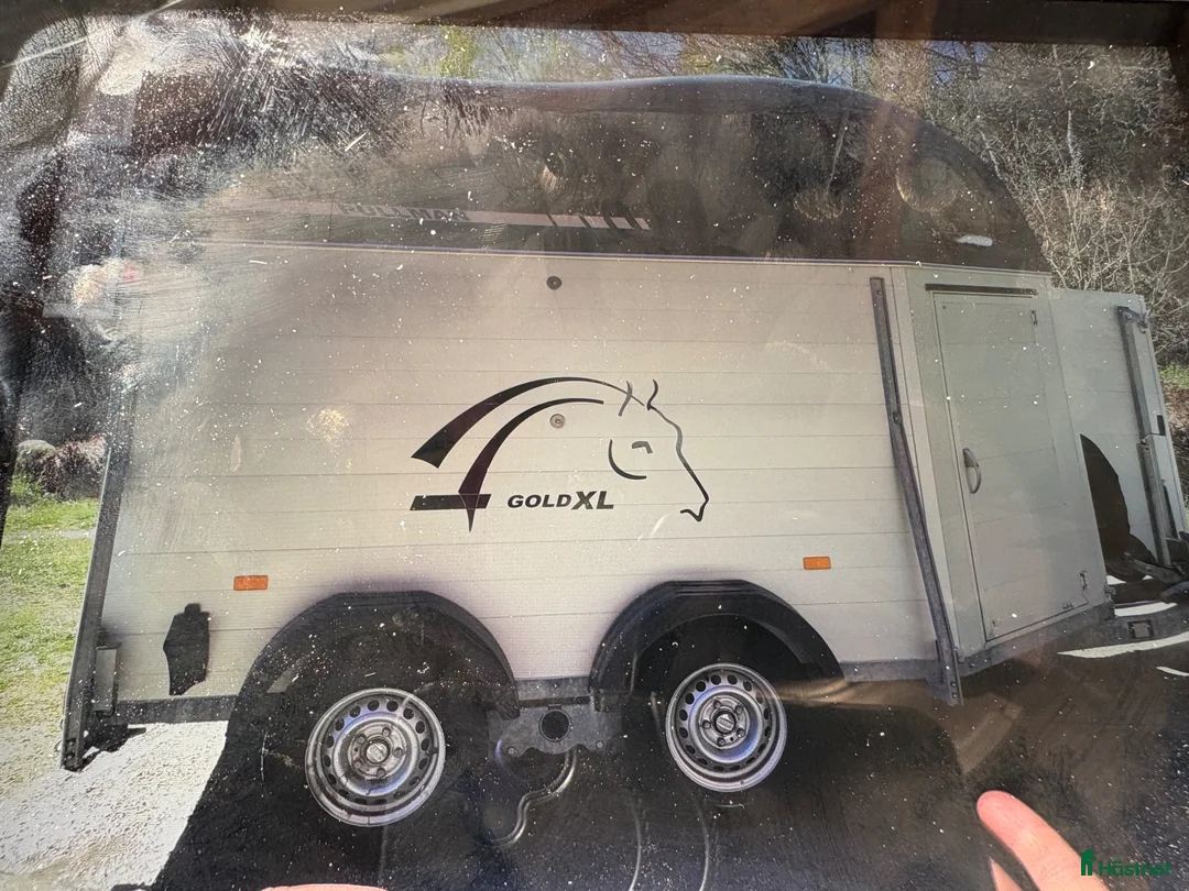 Hästtransporter  fordon & transport till salu: för hästen som behöver utrymme eller framåttäno i Näsum - Annons 1