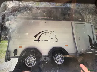 Hästtransporter fordon & transport till salu: för hästen som behöver utrymme eller framåttäno - Annons 1